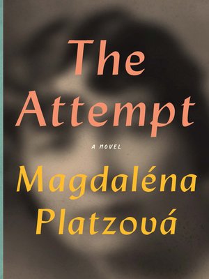 cover image of The Attempt